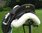 New BEST SELLER D -Flex Beauty ALL LEATHER adjustable GENERAL PURPOSE saddle
